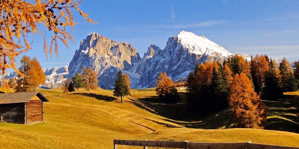 Camera Alpe Di Siusi Oda fotoğraf