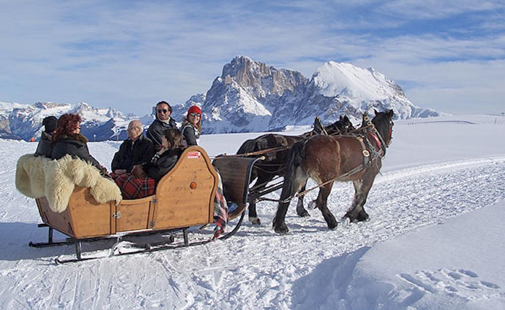 Camera Alpe Di Siusi Oda fotoğraf