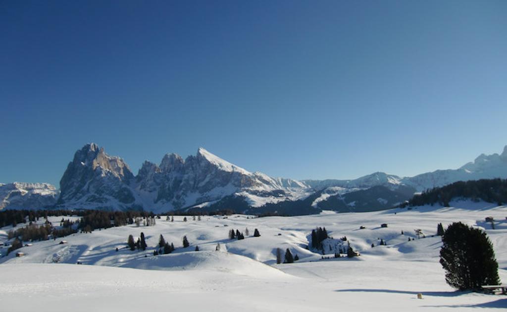 Camera Alpe Di Siusi Dış mekan fotoğraf