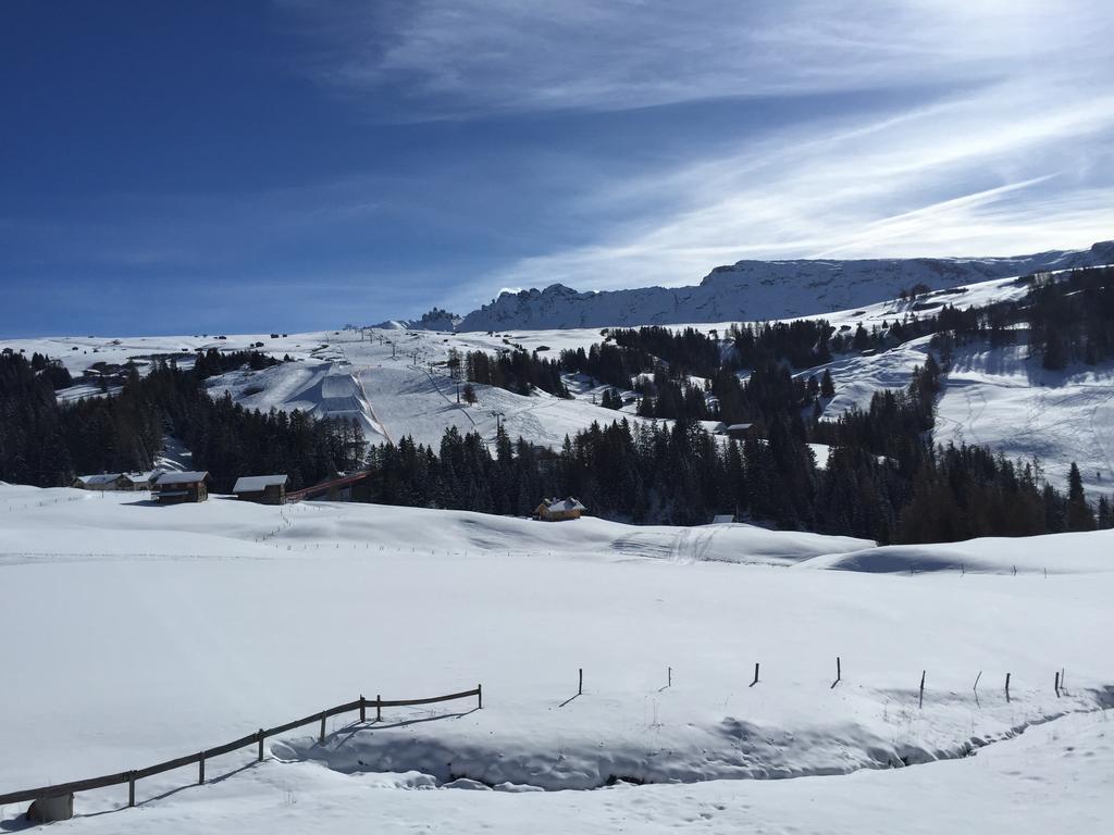 Camera Alpe Di Siusi Oda fotoğraf